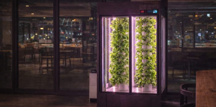 Dual Growpro