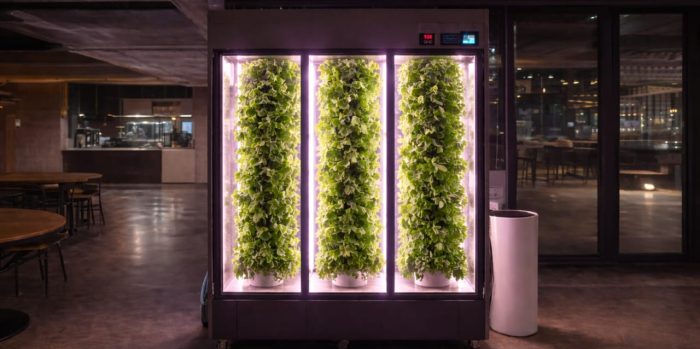 Trio Growpro